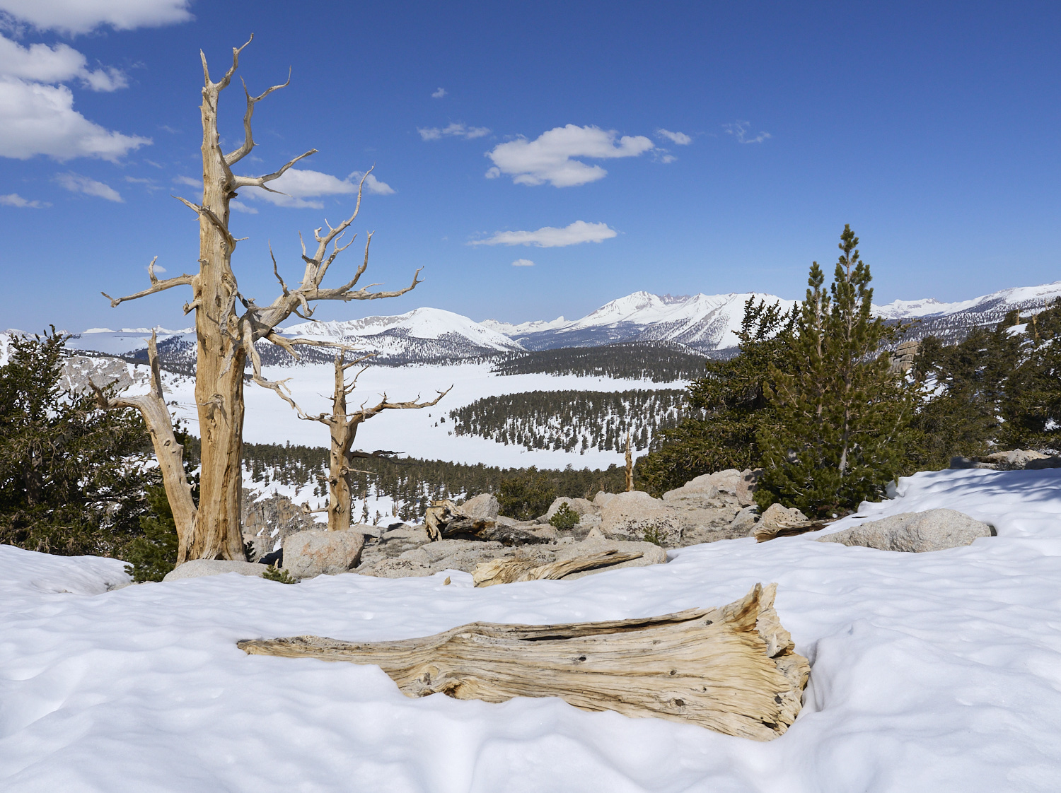View of the snow covered Sierra Nevada near Siberian Pass.