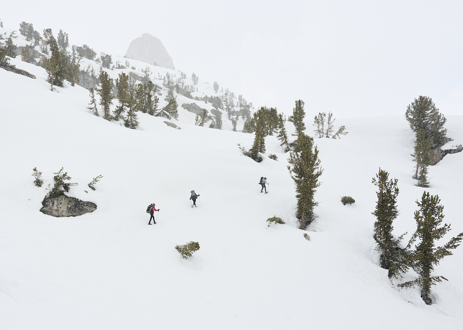 Hikers in Kings Canyon National Park during snowfall.