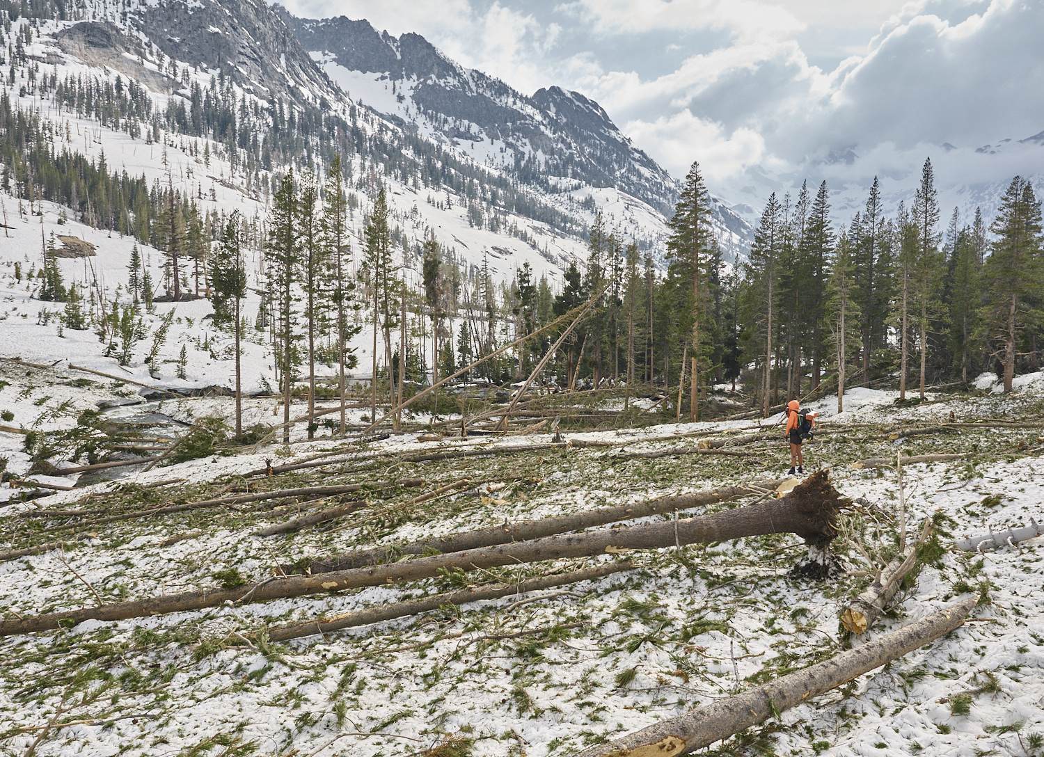 A hiker stands in a destroyed stretch of forest, torn apart by an avalanche.