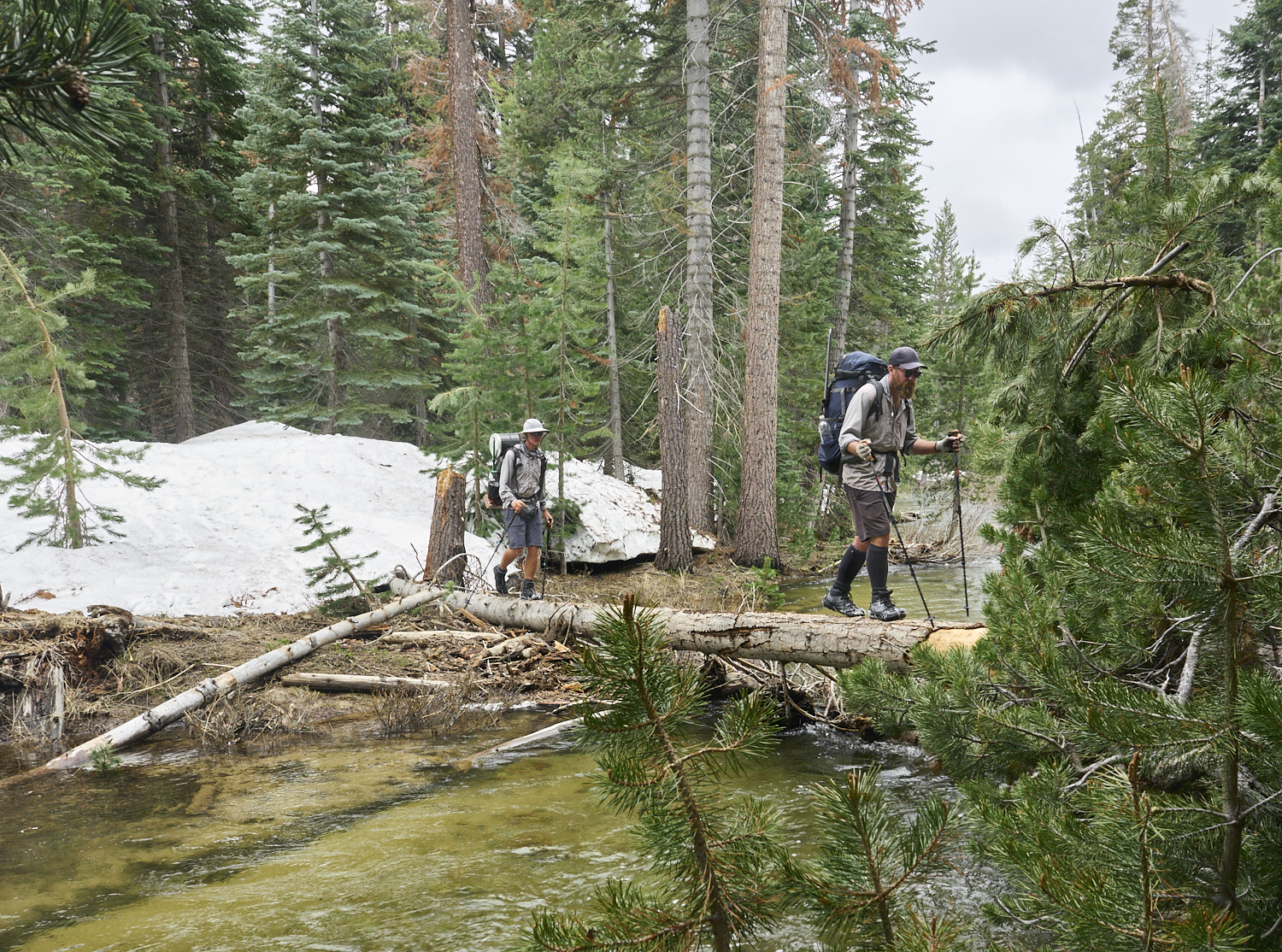 Two hikers use a fallen tree to cross a river in Yosemite National Park.