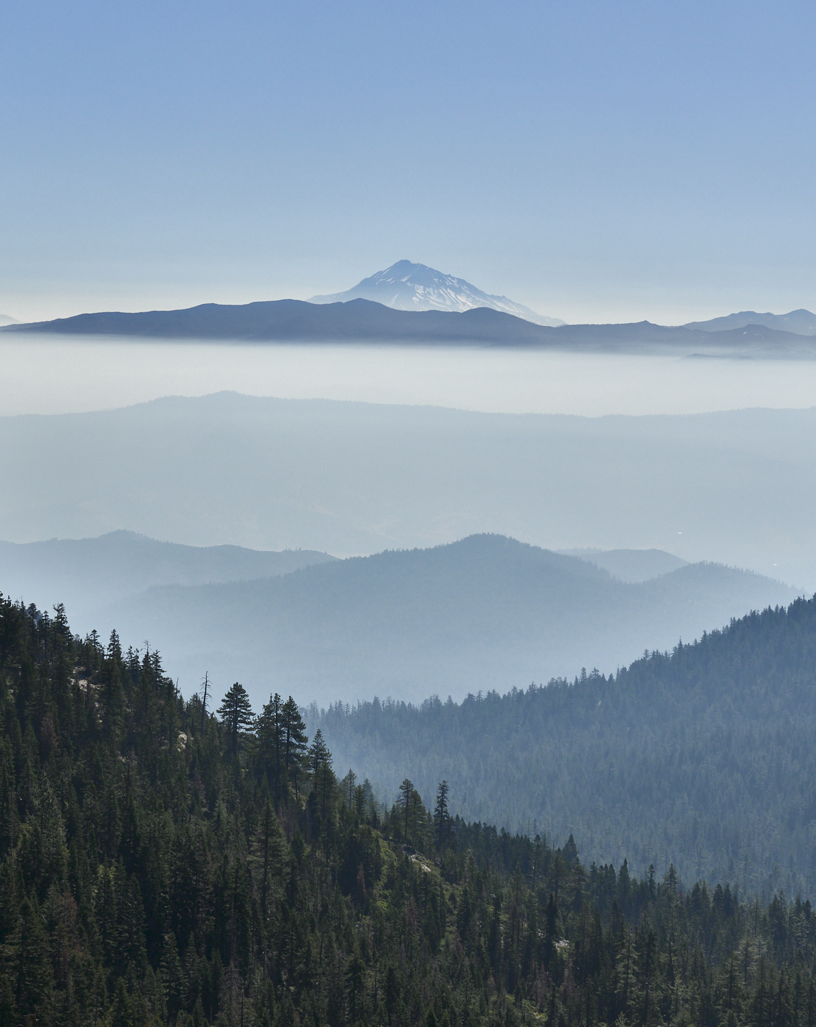 view to Mount Shasta over a layer of smoke and morning mist