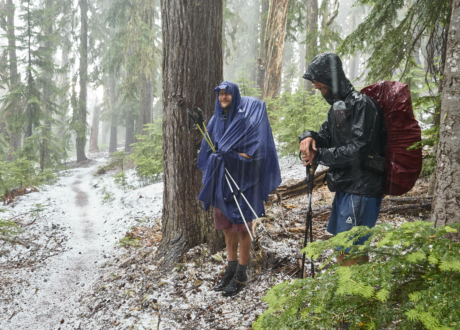 two hikers are searching for cover under a tree during a strong thunderstorm