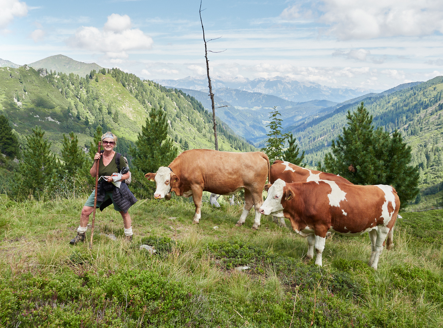 Eine Sennerin mit ihren Kühen auf einer Alm in den Niederen Tauern.
